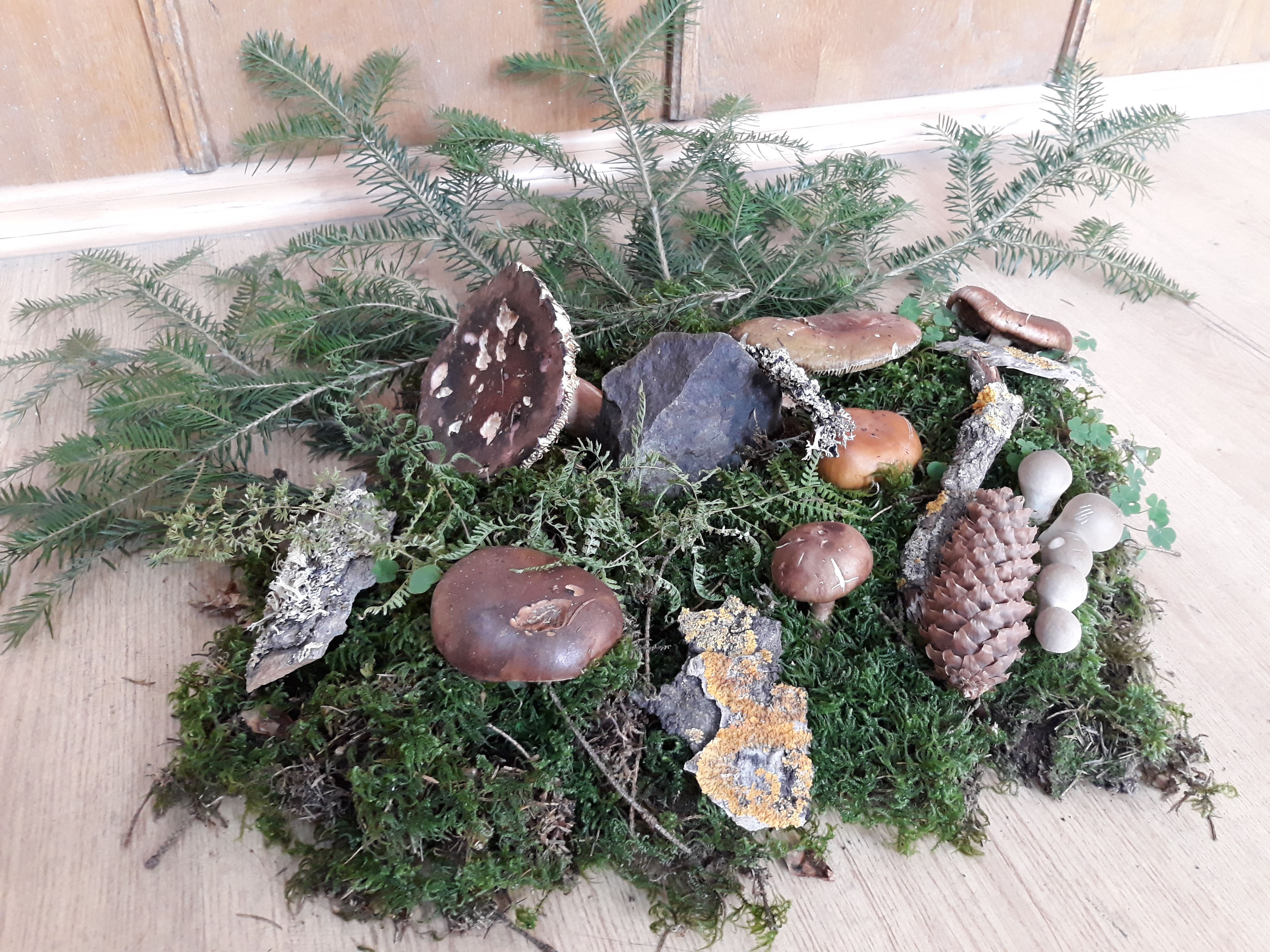 Tabăra micologică, Ediția a III-a, 20-23 septembrie 2018, Poiana Negri – Județul Suceava